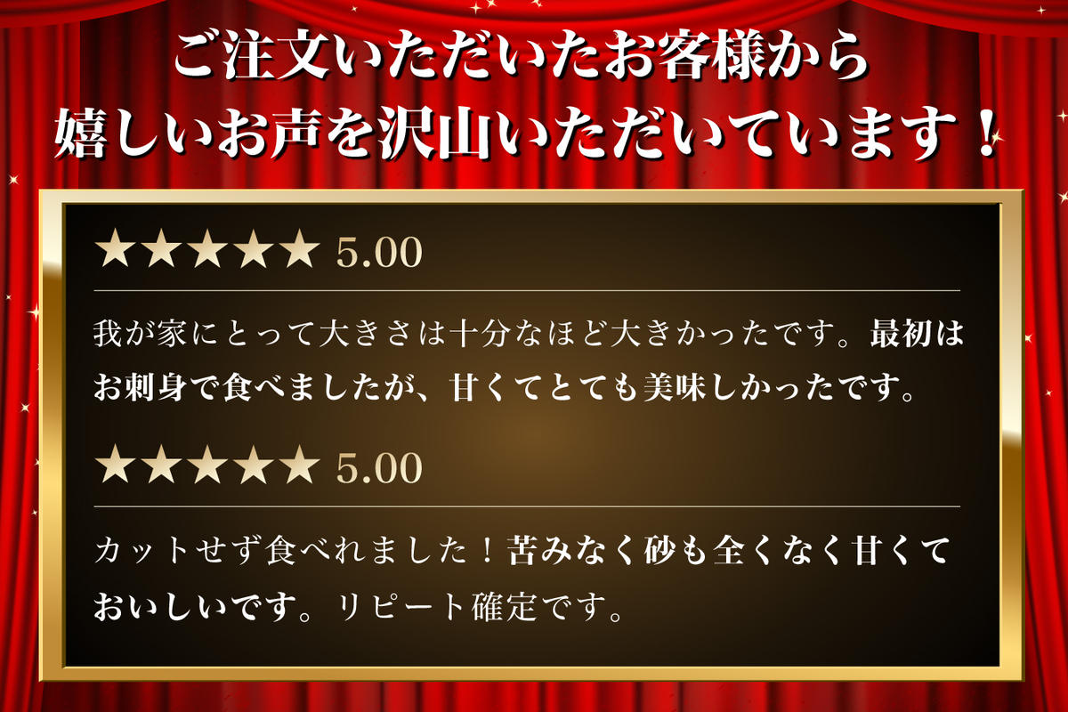 【 2ヵ月 定期便 】北海道 訳あり 冷凍 帆立 貝柱 1.1kg (各回1.1kg×2ヶ月分,合計約2.2kg)  刺身 新鮮 魚貝類 