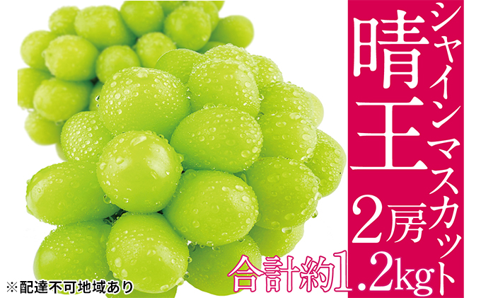 ぶどう 2025年 先行予約 シャイン マスカット 晴王 2房（合計約1.2kg） ブドウ 葡萄  岡山県産 国産 フルーツ 果物 ギフト デザート 食後 酸味が少ない 産地直送 