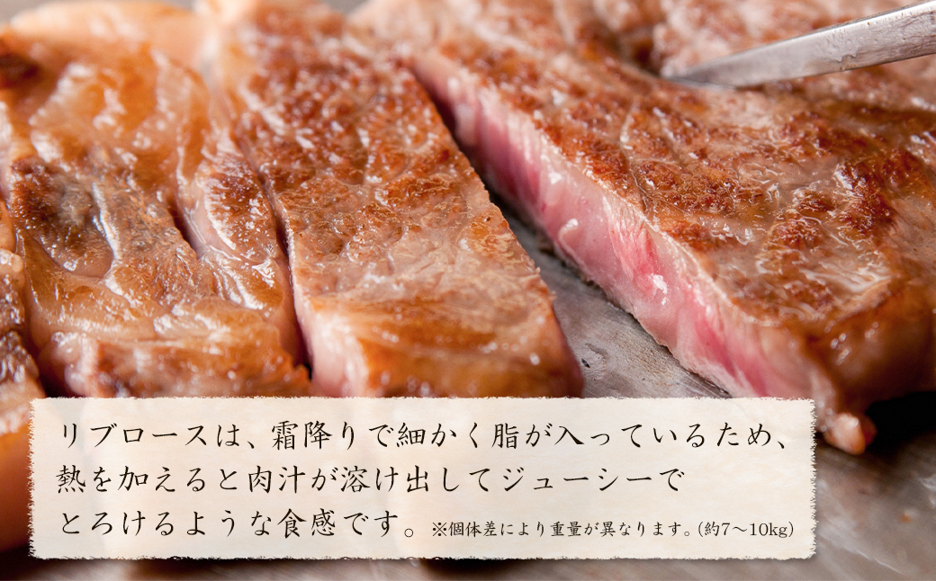 淡路牛 リブロース 原木丸々1本 約7kg～10kg　　[ブロック 牛肉 冷凍]