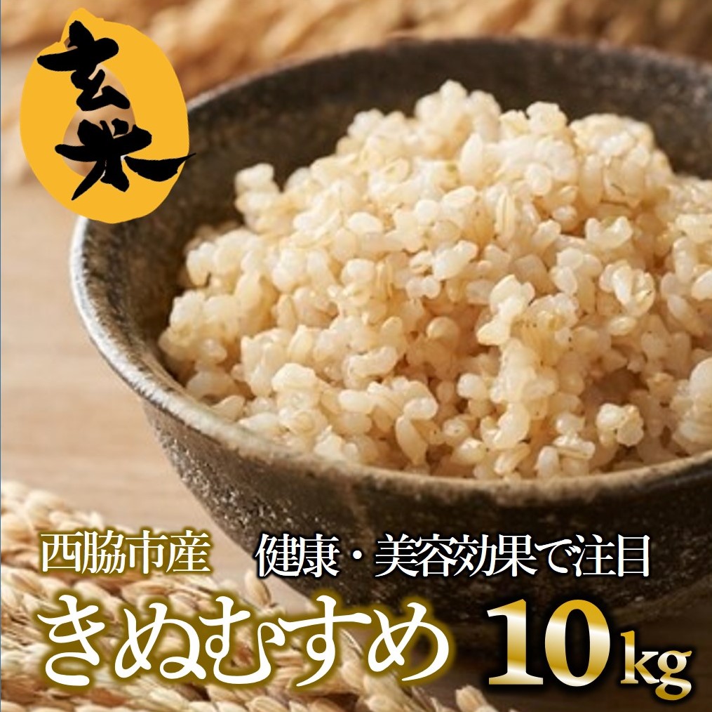 健康志向の方におすすめ【きぬむすめ】令和６年産 玄米10kg（10kg×1袋）(19-42)