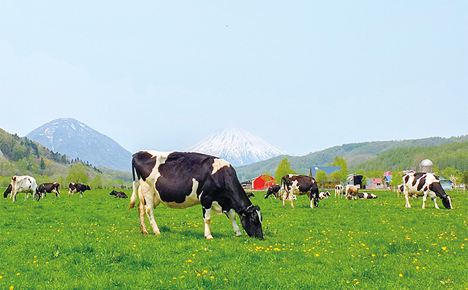 【CF】お菓子のふじい カスタードパイ 8個【冷凍】 焼菓子 スイーツ デザート 洋生菓子 