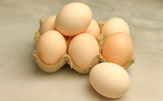 【CF】お菓子のふじい カスタードパイ 16個【冷凍】 焼菓子 スイーツ デザート 洋生菓子 