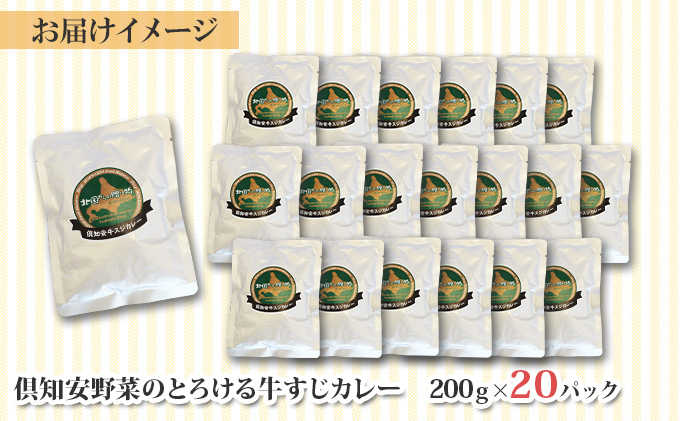 【CF】北海道 倶知安 牛すじカレー 200g 20個 中辛 レトルト食品 加工品 時短 牛すじ 野菜 じゃがいも お取り寄せ グルメ 詰め合わせ 倶知安町 保存食 スパイシー スパイス おかず　【レトルト・牛すじカレー・中辛】 お肉 牛肉 