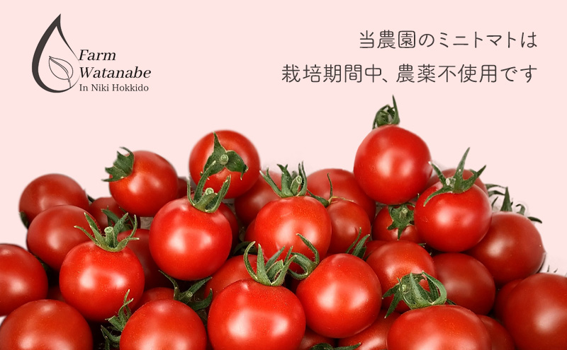 ミニトマト ジュース（北海道 仁木町産 ミニトマト[エコスイート