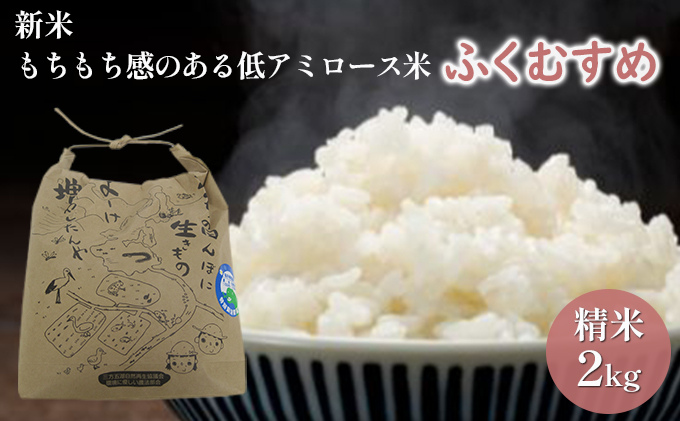 【福井県若狭町】【先行予約】ふくむすめ2kg(令和7年度産)もちもち感のある低アミロース米 特別栽培米 若狭・天狗山農園 お米 人気 もち米 食感 農薬 化学肥料