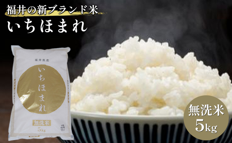 【福井県若狭町】無洗米 いちほまれ5kg(令和7年産)福井の新ブランド米 お米 白米 精米 名作 粒感 粘り 絶妙 優しい 甘さ