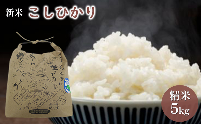 【福井県若狭町】【先行予約】こしひかり5kg(令和7年度産)特別栽培米 若狭・天狗山農園 お米 代表 食感 精米 農薬 化学肥料