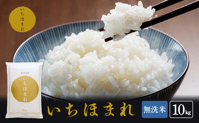 y䌧ዷz ߘa7NY ق܂ 10kg  uh    R     ͂ 䌧