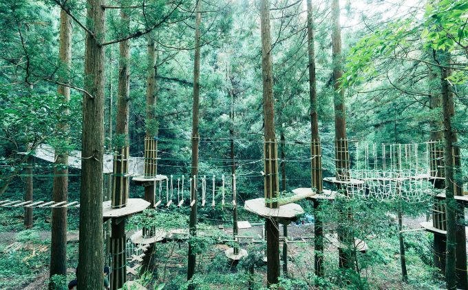 アドベンチャーコース　チケット 体験 レジャー フィールドアスレチック 子供 観光 アクティビティ 自然と遊ぶ 