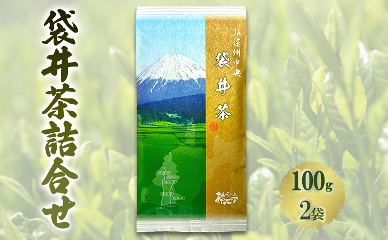 【静岡県袋井市】袋井茶詰合せ 100g2袋 煎茶 ギフト 贈り物 銘茶 人気 厳選 おすすめ 袋井市 静岡  飲料類 お茶 緑茶 静岡県産 セット