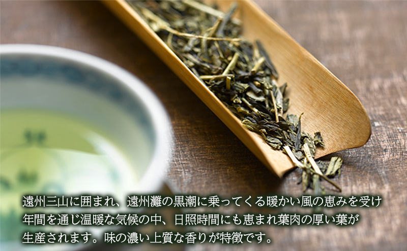 袋井茶詰合せ 100g2袋 煎茶 ギフト 贈り物 銘茶 人気 厳選 おすすめ 袋井市 静岡　 飲料類 お茶 緑茶 静岡県産 セット