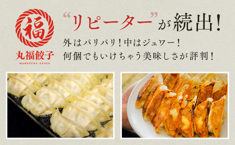 静岡県袋井市のふるさと納税 餃子 リピーター続出！ 遠州名物 丸福の餃子 タレ付き ぎょうざ ギョーザ ギョウザ 惣菜 おかず 中華 点心 加工食品 冷凍 静岡