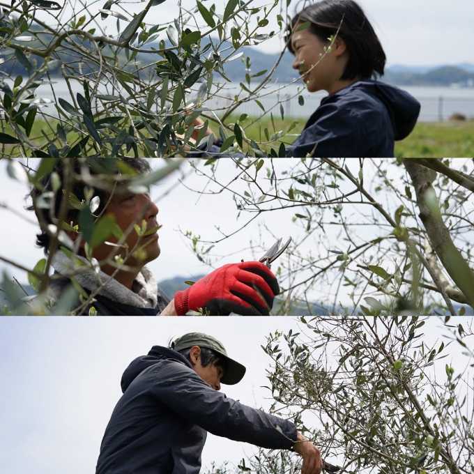 【ふるさと納税】京都宮津産 オーガニックオリーブ 石鹸 80g 植物性 保湿 美容 無添加 ソープ 天然 洗顔 固形 せっけん 手作り