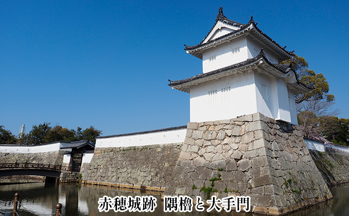 忠臣蔵　第三巻 忠臣蔵 第3巻(史実・史料編)(赤穂市総務部市史編さん室編