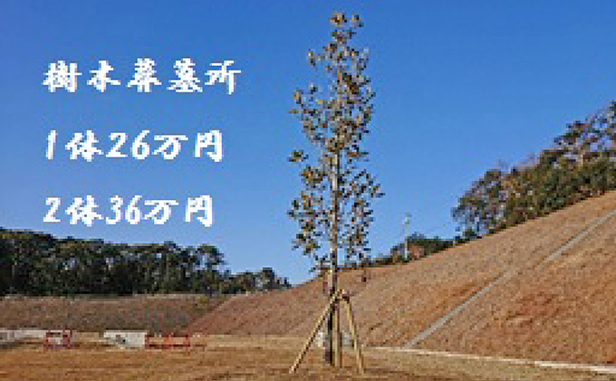 「袋井市夢の丘墓園」墓所ポイント（※要事前連絡） チケット 