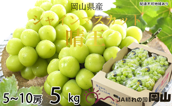 yRʖszԂǂ 2026N s\ VC }XJbg  5[`10[ 5kg uhE   RY Y t[c ʕ Mtg 嗱 x Ȃ 炲 R̂Ԃǂ