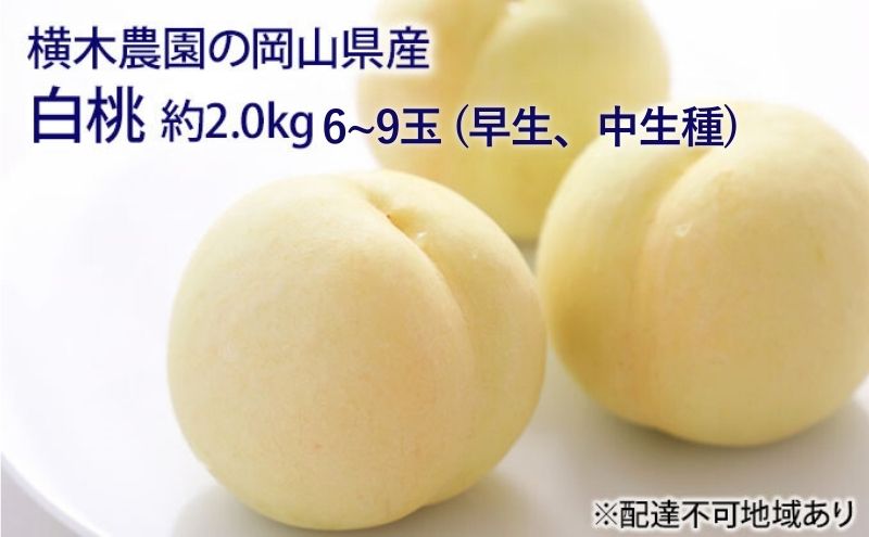 【岡山県瀬戸内市】桃 2026年 先行予約 岡山の 白桃 (早生、中生種)約2.0kg 6〜9玉 もも モモ 岡山県産 国産 フルーツ 果物 ギフト 横木農園 デザート 太陽 化粧箱 果肉 柔らかく果汁 厳選 美味しい 贈答品