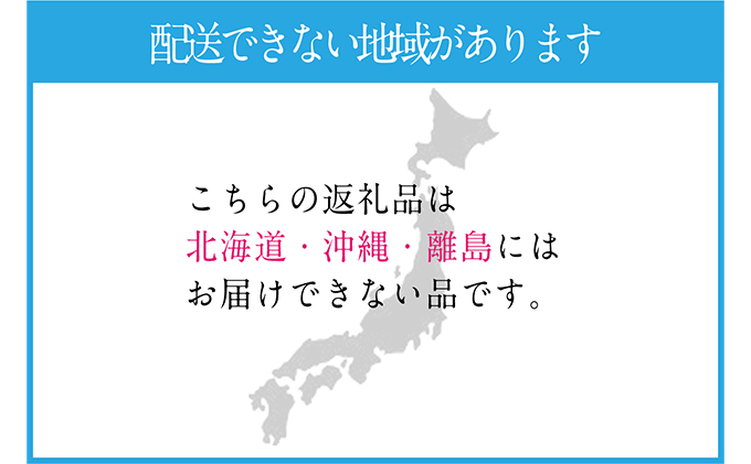 ぶどう 2026年 先行予約 シャイン マスカット 晴王 1房 約600g ブドウ 葡萄  岡山県産 国産 フルーツ 果物 ギフト デザート 食後 酸味が少ない 産地直送 