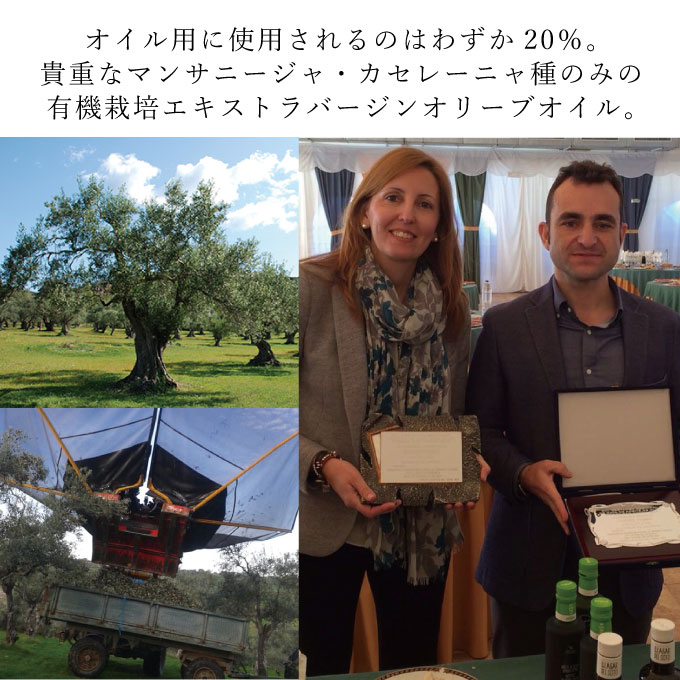 オリーブオイル 有機栽培 エキストラバージン オリーブ オイル シングル 450g 6本 セット オーガニック 調味料 油 オリーブ油 食用油 