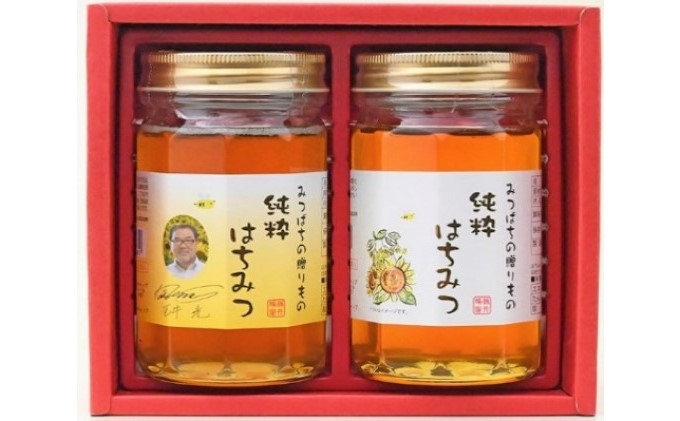 純粋はちみつギフト（450g×2本） 蜂蜜 アルゼンチン産 ミャンマー産 ひまわりの花 花の蜜 養蜂家 コクのある甘さ まろやかさの融合 藤井養蜂場 