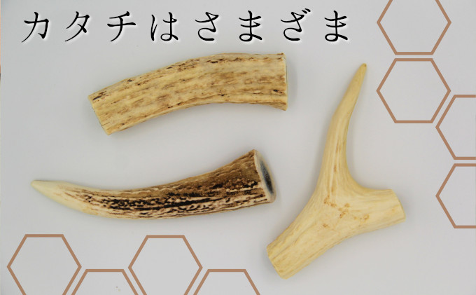 ペットのおやつ【エゾシカ角】3本セット 北海道 南富良野町 ペット おやつ 餌 エゾシカ 鹿 角 犬 大型犬 中型犬 小型犬 雑貨 日用品 ペット用品 