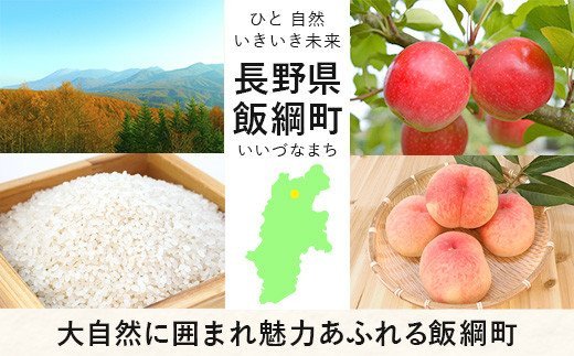 長野県飯綱町のふるさと納税 ジャム フルーツジャム 3種 約260～280g × 3瓶 種類おまかせ 沖縄県への配送不可 町田さんちのジャム 長野県 飯綱町 [0992]
