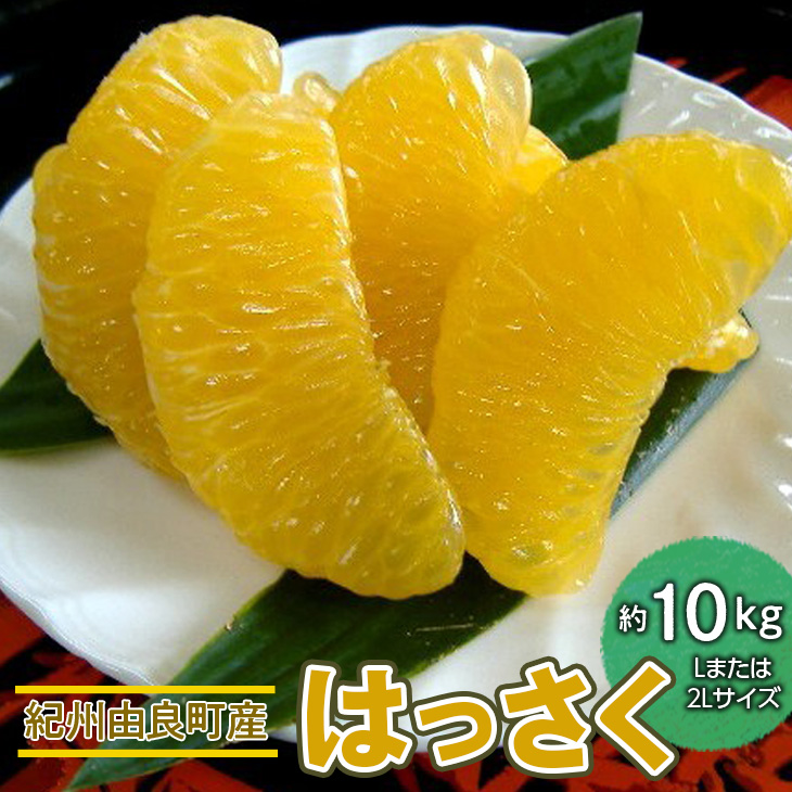 紀州 由良町産 さつきはっさく 約10kg Lまたは2Lサイズ
