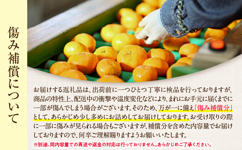 宮崎県日南市のふるさと納税 ネイバーフッド 温州みかん 計5kg以上 傷み補償分入り 期間限定 数量限定 フルーツ 果物 くだもの ミカン 柑橘 オレンジ 人気 国産 食品 デザート おやつ おすすめ 産地直送 おすそ分け ギフト 贈り物 特産品 宮崎県 日南市 送料無料_BB157-25