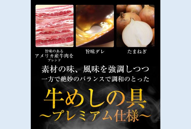 牛丼 松屋 乳酸菌入 プレミアム仕様 牛めしの具 20個 冷凍 セット 冷凍食品 食品 惣菜 n1 
