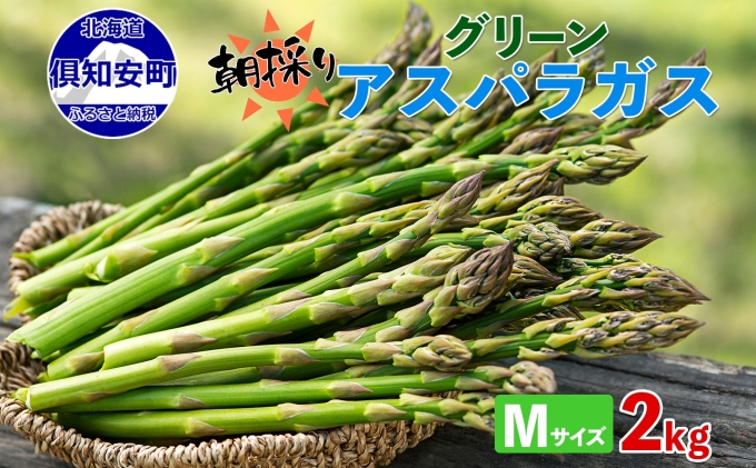 【2026年発送】 北海道 アスパラガス グリーン 2kg セット Mサイズ 春 限定 旬 朝採り 新鮮 野菜 アスパラ ギフト gift 産地直送 産直 お取り寄せ 詰め合わせ 送料無料 倶知安町