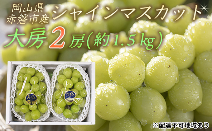 ぶどう 2026年 先行予約 シャイン マスカット 大房 2房 約1.5kg 秀品 ブドウ 葡萄 岡山 赤磐市産 国産 フルーツ 果物 ギフト 果物類 デザート 食後 産地直送 甘い 種なし 皮ごと 大粒 