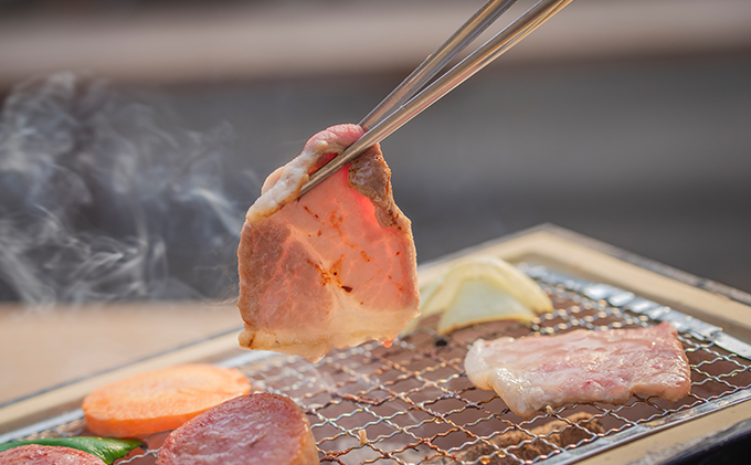 バーベキュー セット もちぶたを堪能できる 手ぶらバーベキュー 2名様分 選べるA・Bコース 食事券 体験チケット チケット もちぶた 和豚 もち豚 豚肉 ポーク お肉 肉 豚 精肉 焼き肉 焼肉 アウトドア スペシャルキャンペーン 