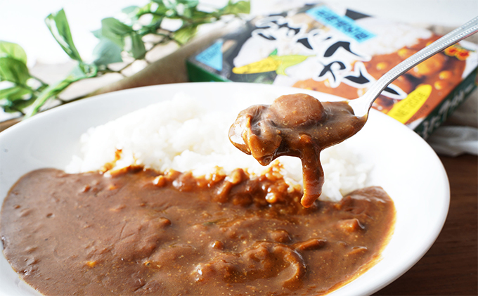 ほたてカレー 180g×5個 (合計900g入) カレー ホタテ レトルト 加工食品 惣菜 レトルトカレー 洋食 北海道産ほたて 特製ルウ ほたての風味 旨味 海鮮カレー ランチ お昼ご飯 夕飯 夜食 手軽 簡単 