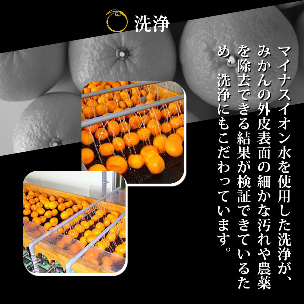 ZY6117n_果樹園紀の国 みかんジュース・ももドリンク詰め合わせセット