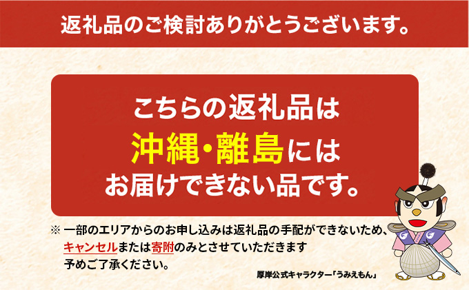 4月配送 訳あり ハーフ 規格外 牡蠣 北海道厚岸産 殻付カキ 約2kg（11～25個）カキナイフ付 生食 魚貝類 生牡蠣 かき 生カキ カキフライ マルえもん いびつな形 四季によって違う味わい コクがあり濃厚