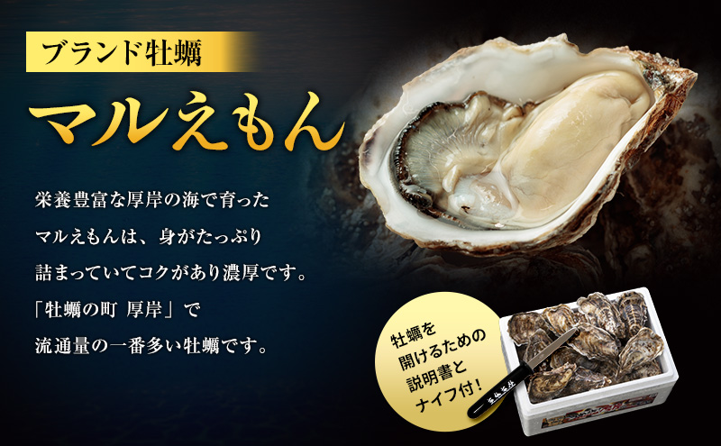 4月配送 訳あり ハーフ 規格外 牡蠣 北海道厚岸産 殻付カキ 約2kg（11～25個）カキナイフ付 生食 魚貝類 生牡蠣 かき 生カキ カキフライ マルえもん いびつな形 四季によって違う味わい コクがあり濃厚