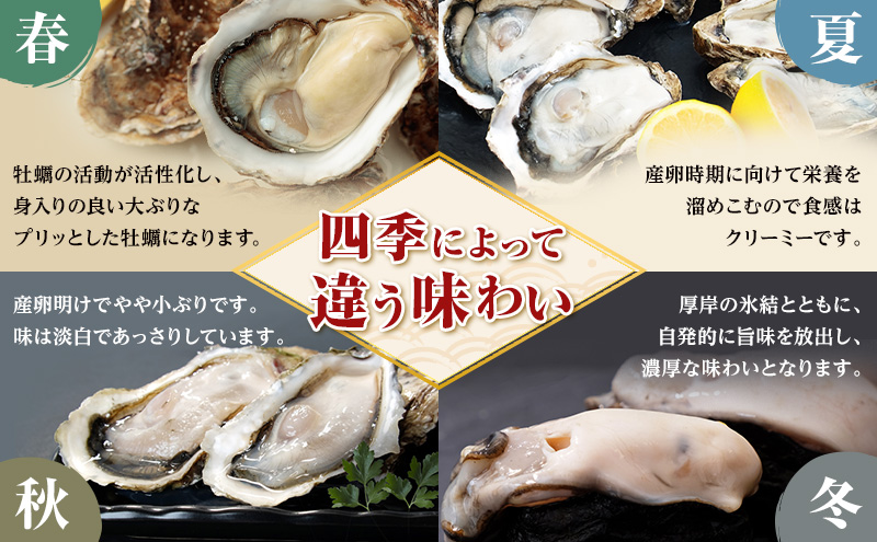 4月配送 訳あり ハーフ 規格外 牡蠣 北海道厚岸産 殻付カキ 約2kg（11～25個）カキナイフ付 生食 魚貝類 生牡蠣 かき 生カキ カキフライ マルえもん いびつな形 四季によって違う味わい コクがあり濃厚