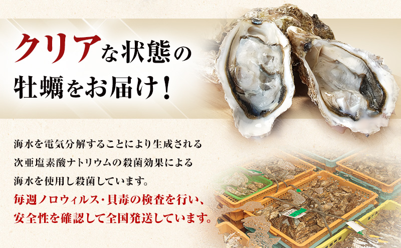 4月配送 訳あり ハーフ 規格外 牡蠣 北海道厚岸産 殻付カキ 約2kg（11～25個）カキナイフ付 生食 魚貝類 生牡蠣 かき 生カキ カキフライ マルえもん いびつな形 四季によって違う味わい コクがあり濃厚