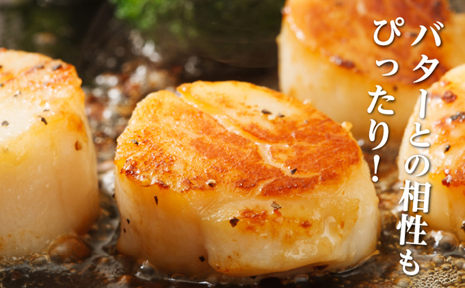 北海道産 冷凍ほたて 貝柱 300g×2パック (合計600g) 帆立 ホタテ 玉冷 魚貝類 生食用 刺身 ホタテの出汁 調理 ホタテバター 海鮮 大ぶりで甘みが強い 