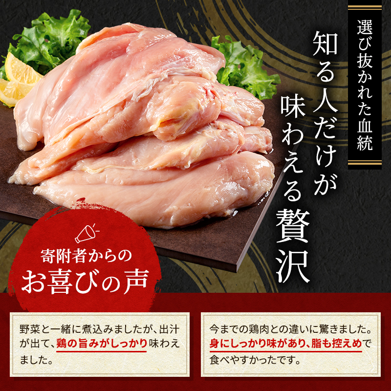 地鶏 丹波 黒鶏 むね肉 4kg とり肉 鶏肉 鶏 肉 お肉 鶏むね肉 鳥