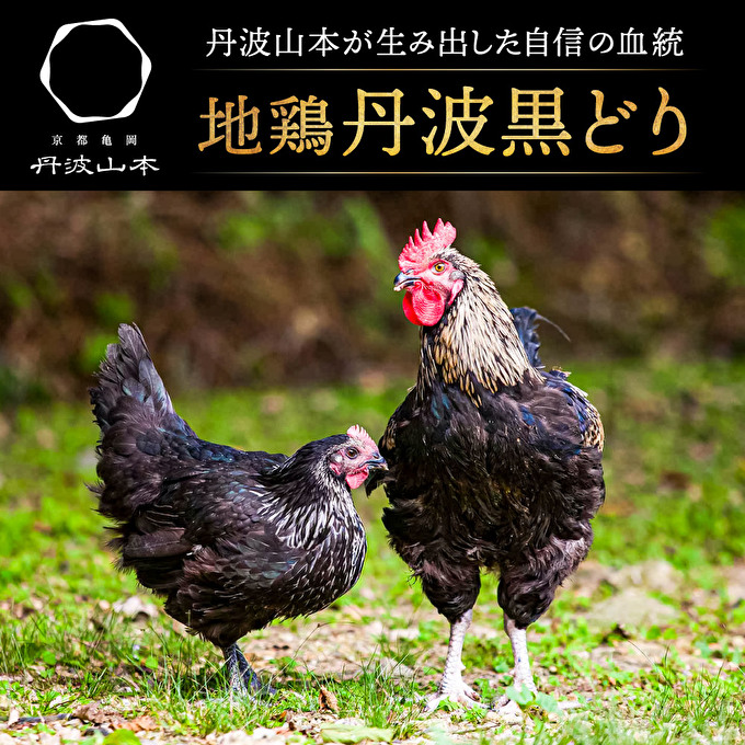 兵庫県加西市のふるさと納税  地鶏 丹波 黒どり 1羽セット 冷凍 焼き鳥 鍋 焼肉 BBQ 鶏肉 お肉 ブランド鶏 モモ肉 ムネ肉 ササミ 肝 砂肝 手羽 ガラ 食材 国産 国産鶏肉 焼き料理 鍋もの 蒸し鶏 揚げ物