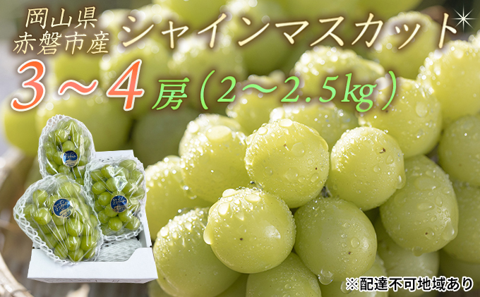 yRԔ֎szԂǂ 2026N s\ VC }XJbg 3`4[ 2.0`2.5kg Gi uhE  R Ԕ֎sY Y t[c ʕ Mtg ʕ fU[g H Yn [ Â Ȃ 炲 嗱