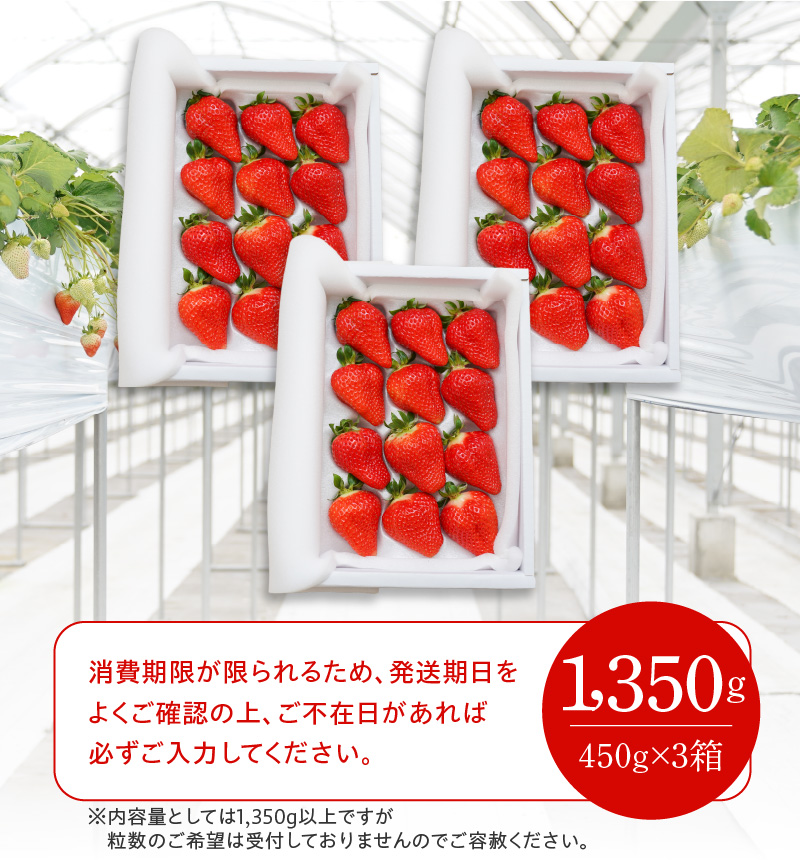 愛知県碧南市のふるさと納税 （予約受付中）【12月以降順次発送】まるで赤いサファイア!!丹精込めた完熟いちご!! 約1350g　H130-011