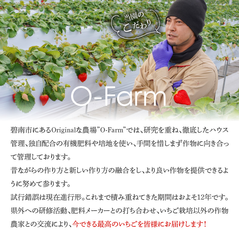 愛知県碧南市のふるさと納税 （予約受付中）【12月以降順次発送】まるで赤いサファイア!!丹精込めた完熟いちご!! 約450g H130-012