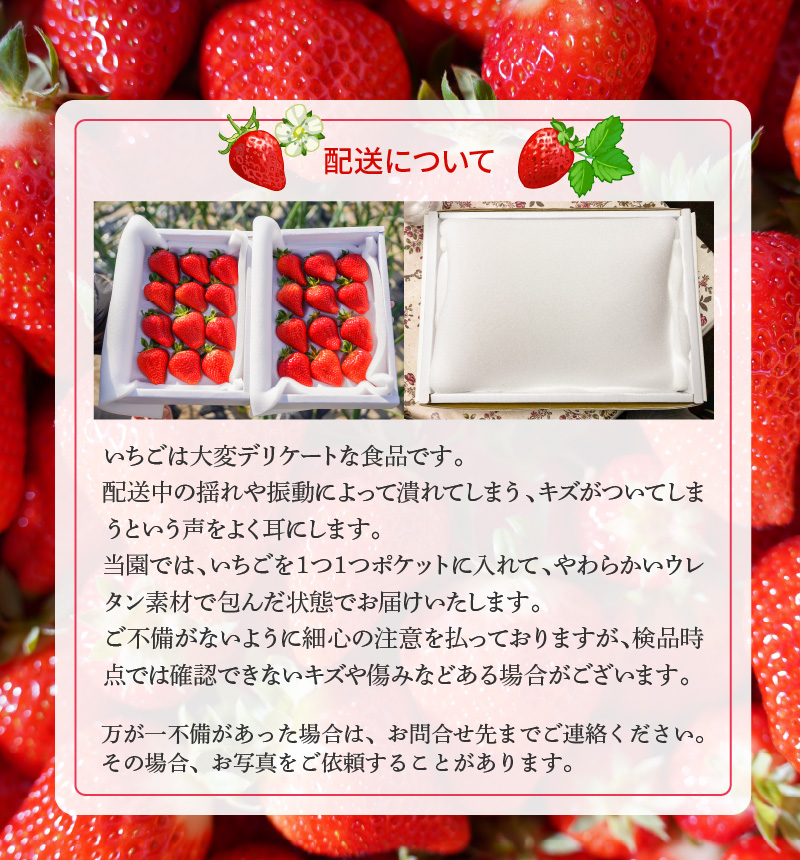 愛知県碧南市のふるさと納税 （予約受付中）【12月以降順次発送】まるで赤いサファイア!!丹精込めた完熟いちご!! 約450g H130-012