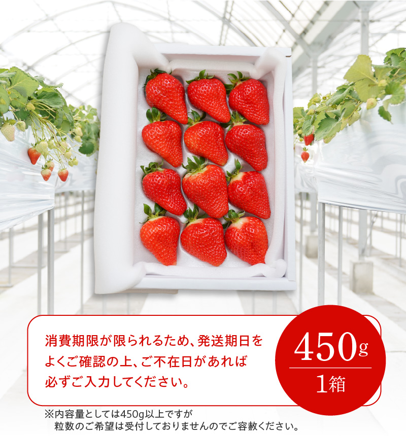 愛知県碧南市のふるさと納税 （予約受付中）【12月以降順次発送】まるで赤いサファイア!!丹精込めた完熟いちご!! 約450g H130-012