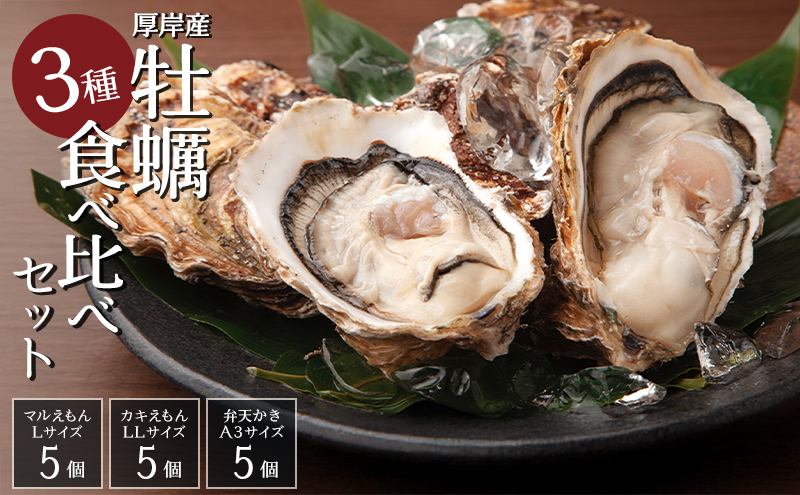 【北海道厚岸町】北海道 牡蠣 3種 食べ比べ セット 厚岸オイスターハーフ ★オールスターズ  生食
