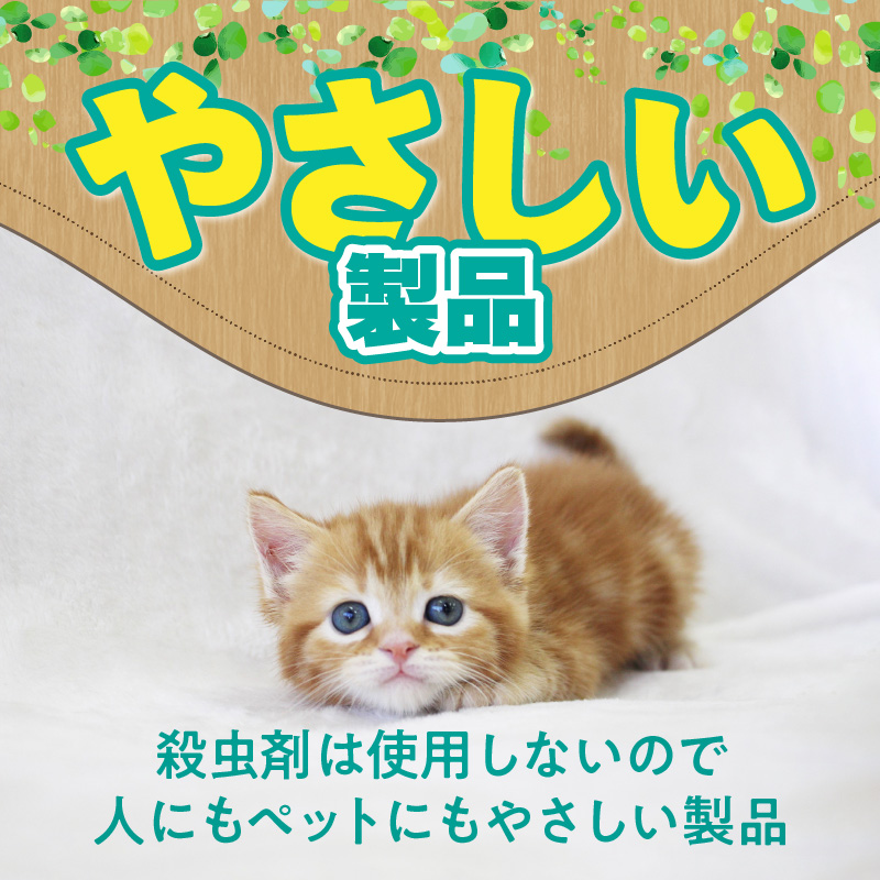 ハチワレ猫君の「コバエとれるかな」 [084M01] / 愛知県小牧市