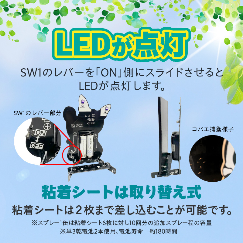 ハチワレ猫君の「コバエとれるかな」 [084M01] / 愛知県小牧市