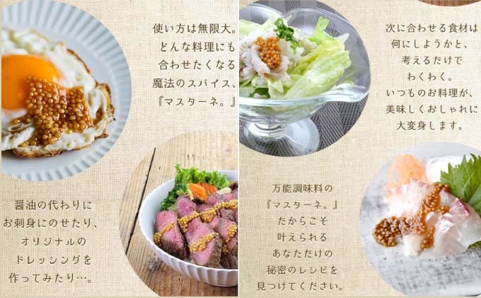 調味料 マスターネ プレーン しょう油 2本セット 100g×各1 マスタード 食べ比べマスタードシード 味付け 辛くない 料理 アクセント和食 洋食 中華 万能調味料 
